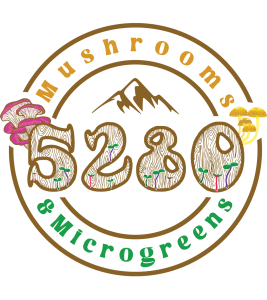 5280 Mushrooms and Microgreens